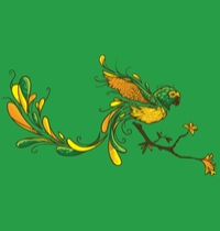 Brazilian Spirit t-shirt design