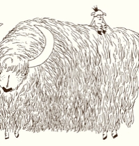 Freeloader on the Yak Express t-shirt design