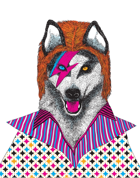 Ziggy Stardog Hero Shot
