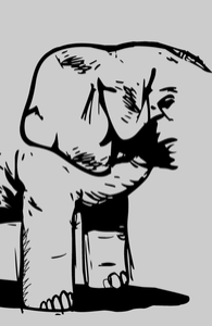 Elephas Maximus