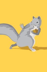 All-Conference Squirrel
