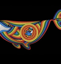 Jonah And The Technicolor Whale t-shirt design