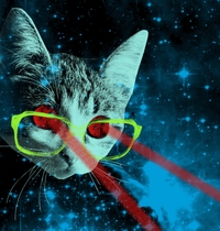 Mister Mittens' Big Adventure t-shirt design
