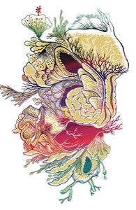 Perennials & Innards