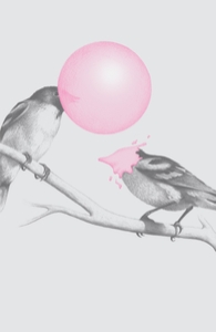 The Northern Black-capped Gumchewer