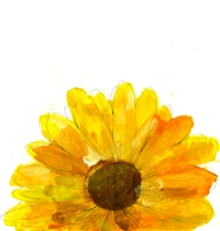 Daisy t-shirt design