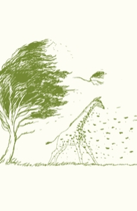 Wild Wild Wind