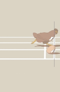 Photo Finish