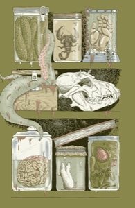 Shelf Life