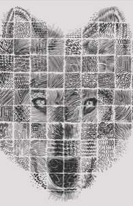 A Patchwork Wolf