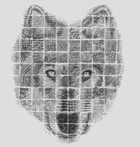 A Patchwork Wolf t-shirt design