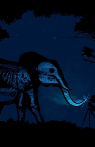 Elephants Don't Like Flash