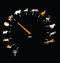 As Fast As I Can t-shirt design