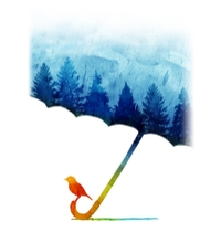 Rainforests t-shirt design