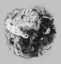 Nature's Battle t-shirt design