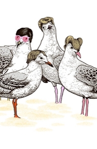 Flock of Gulls