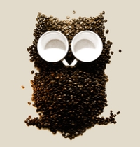 Hoot! Night Owl! t-shirt design