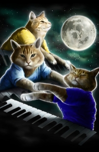 Three Keyboard Cat Moon