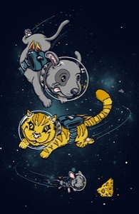 Space Chase
