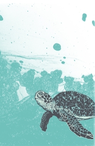Sea Foam Sea Turtle