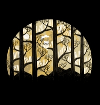 Why Is an Owl Smart t-shirt design