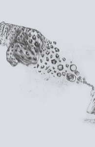 Bubbles the Snow Leopard