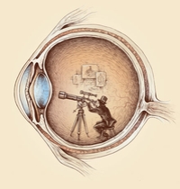 Extraordinary Observer t-shirt design
