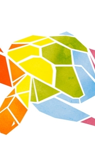 Shapeshifting Turtle