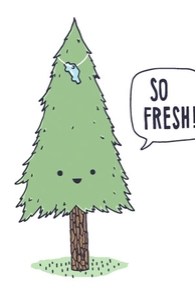 So Fresh!