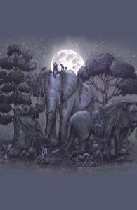 Midnight in the Stone Garden