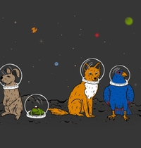 Do a Barrel Roll t-shirt design