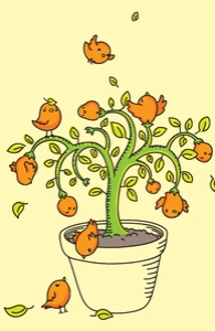 The Birdie Tree