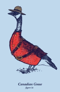 Canadian Goose