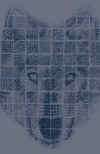 A Patchwork Wolf, Select Girly Eco Pullover