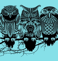 Owls of the Nile t-shirt design
