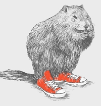 Woodchucks t-shirt design