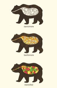 The Eating Habits of Bears