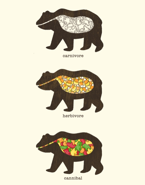 The Eating Habits of Bears Hero Shot