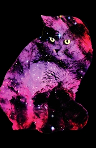 Celestial Cat Hero Shot