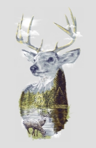 Mo'Deer Nature