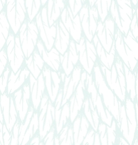 Feathered Fringe Select Assymetrical Tank t-shirt design