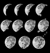 Lunar Phases of Sleep t-shirt design