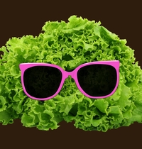 Mr Salad t-shirt design