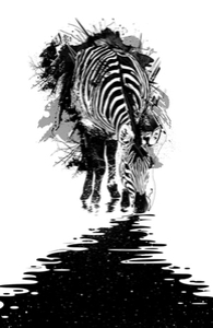 Stripe Charging
