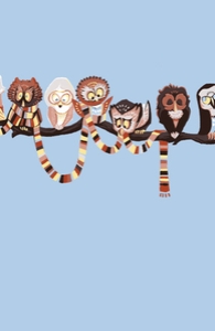 Doctor-Hoo