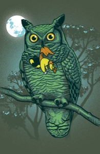 Owl Eat Mouse