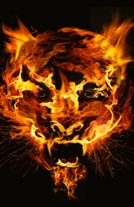 Tyger Tyger, Burning Bright