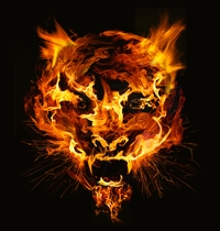 Tyger Tyger Burning Bright t-shirt design