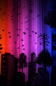 Night in the City
