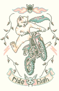 Motocross-Stitch Kitteh